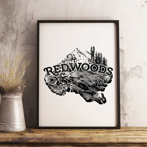 Redwoods 13 x 19 Poster Print