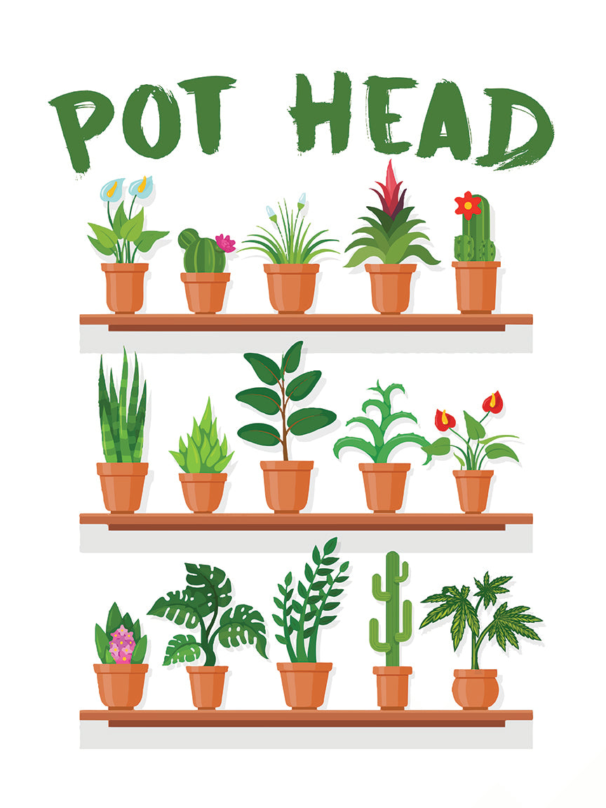 Pot Head 13 x 19 Poster Print